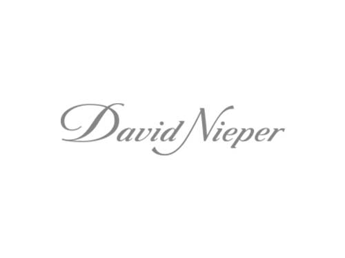 Logo David nieper Referenz
